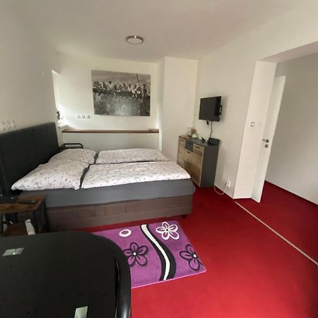 Homestay U Hanky Zdiby Екстериор снимка